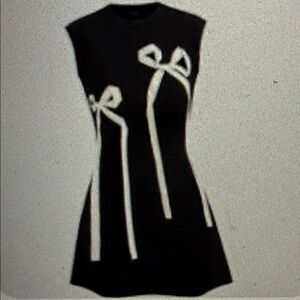 Cider Black Dress with White Bow